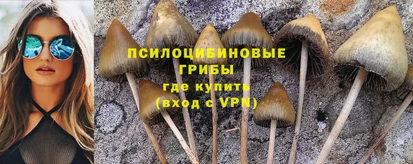 дурь Козловка